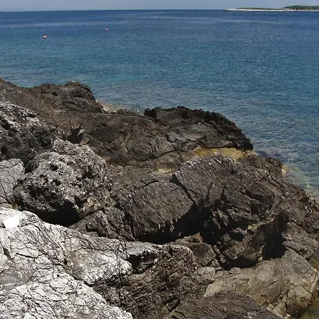 Milna 2461c Lejlighed *