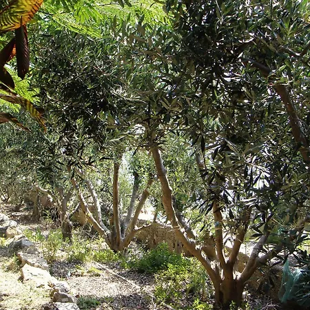 Milna 2461c Lejlighed Rukavac (Vis)