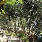Milna 2461c Appartamento Rukavac (Vis)