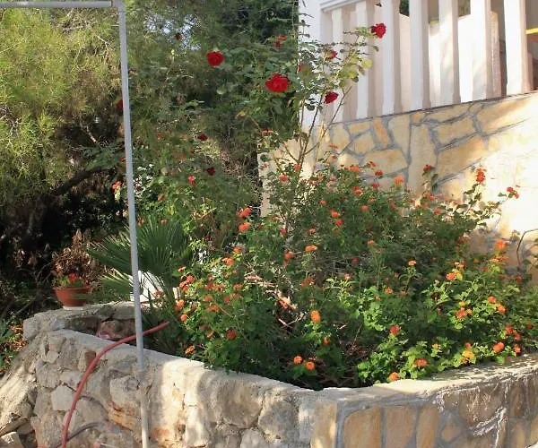Apartment Milna 2461c Rukavac (Vis)